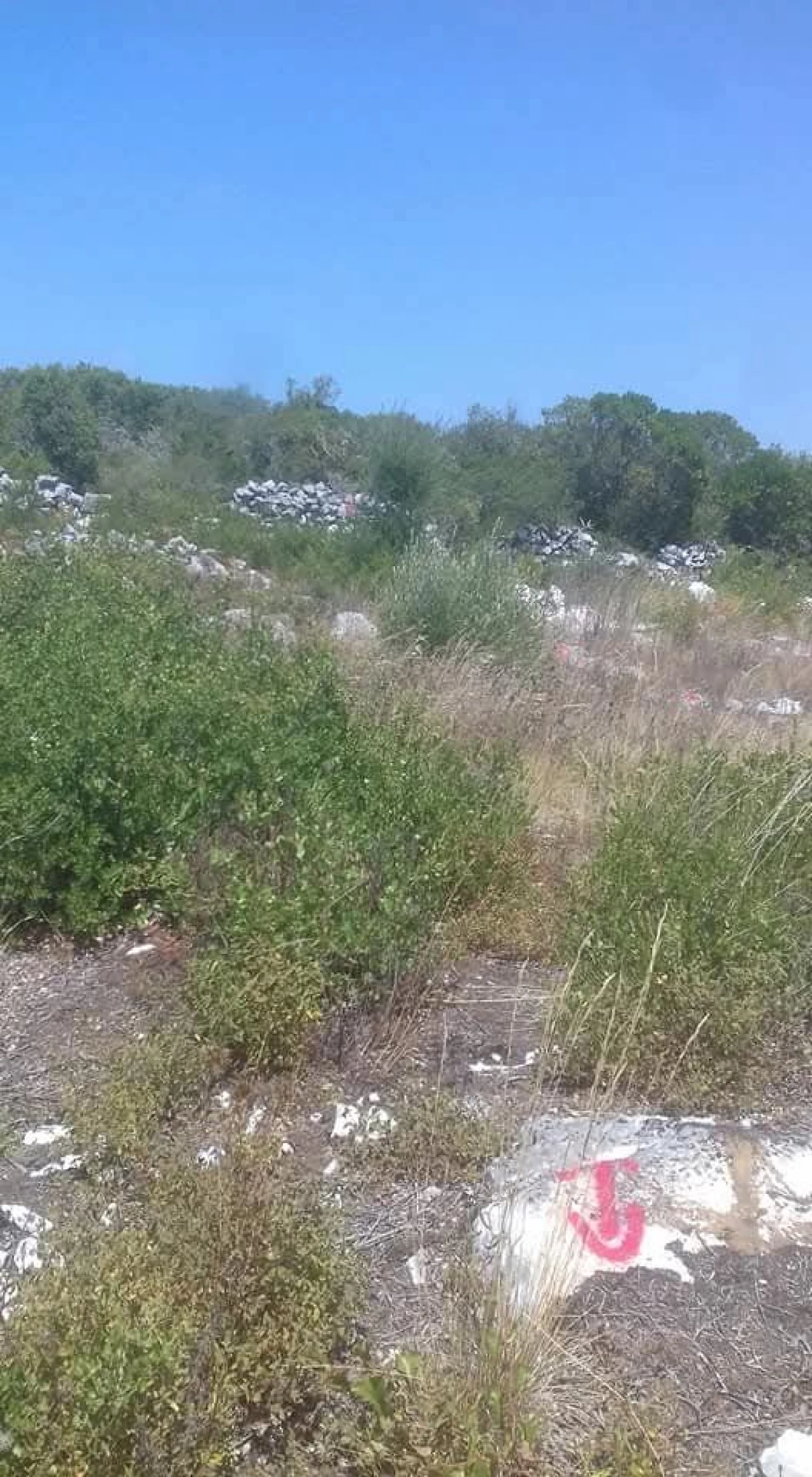 Terreno para Venda em Mira de Aire Foto 5