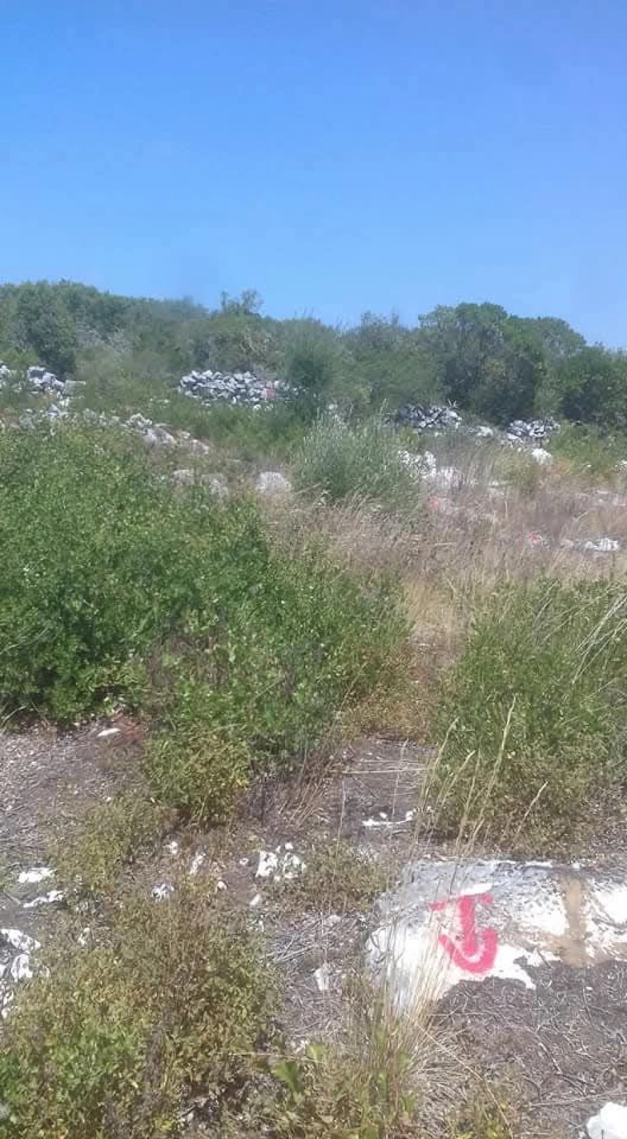 Terreno para Venda em Mira de Aire Foto 5