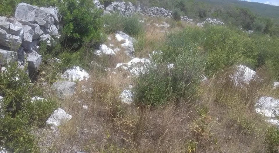 Terreno para Venda em Mira de Aire Foto 4