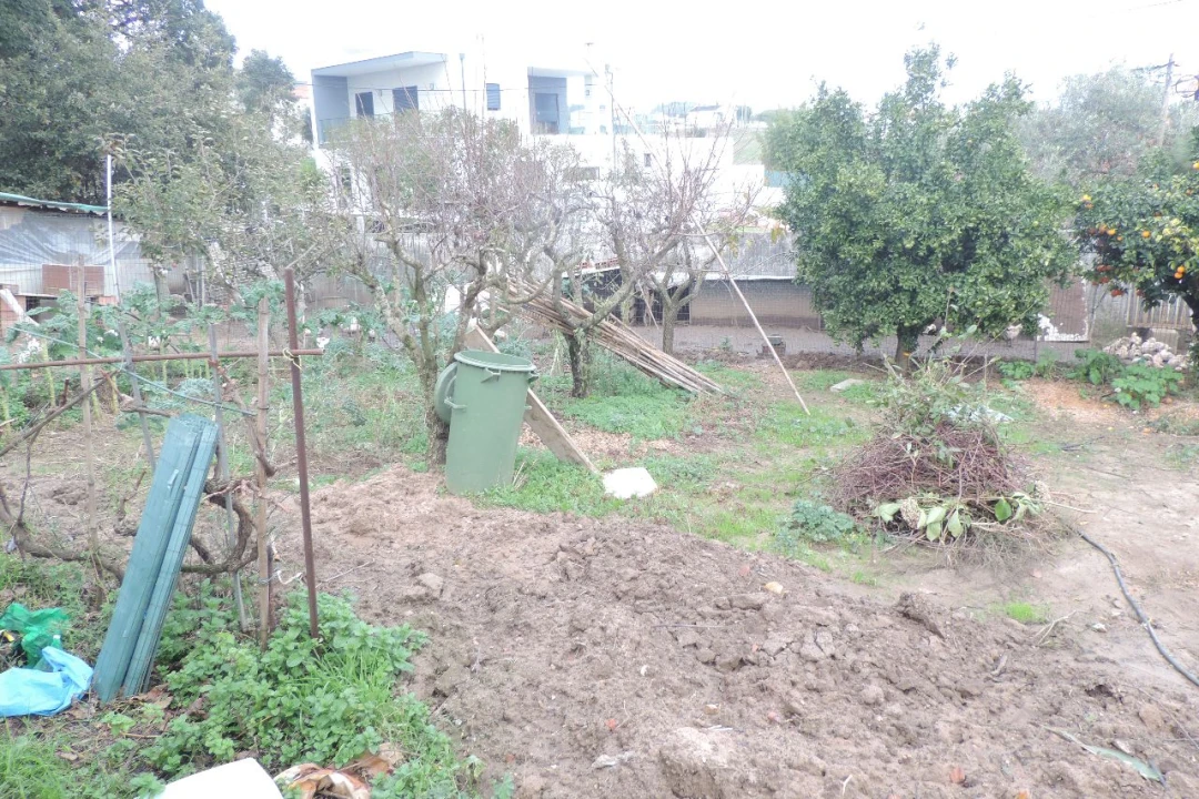 Terreno para Venda em Toledo Foto 7