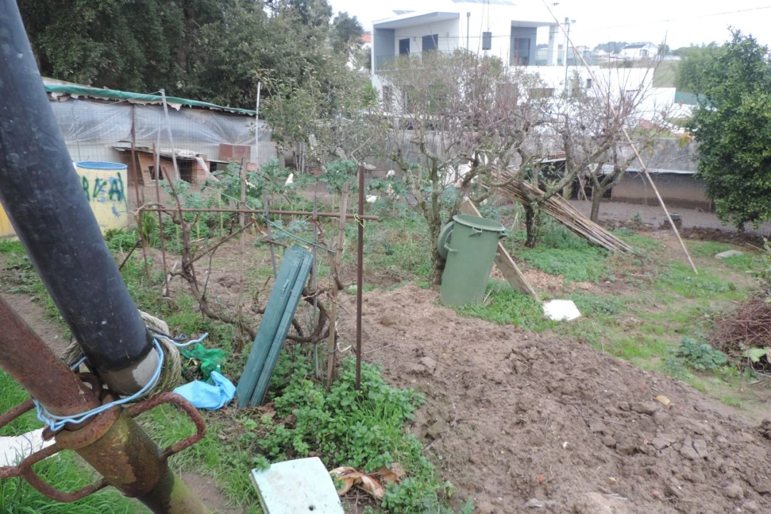 Terreno para Venda em Toledo Foto 3