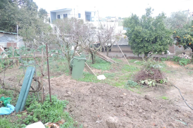 Terreno para Venda em Toledo Foto 7