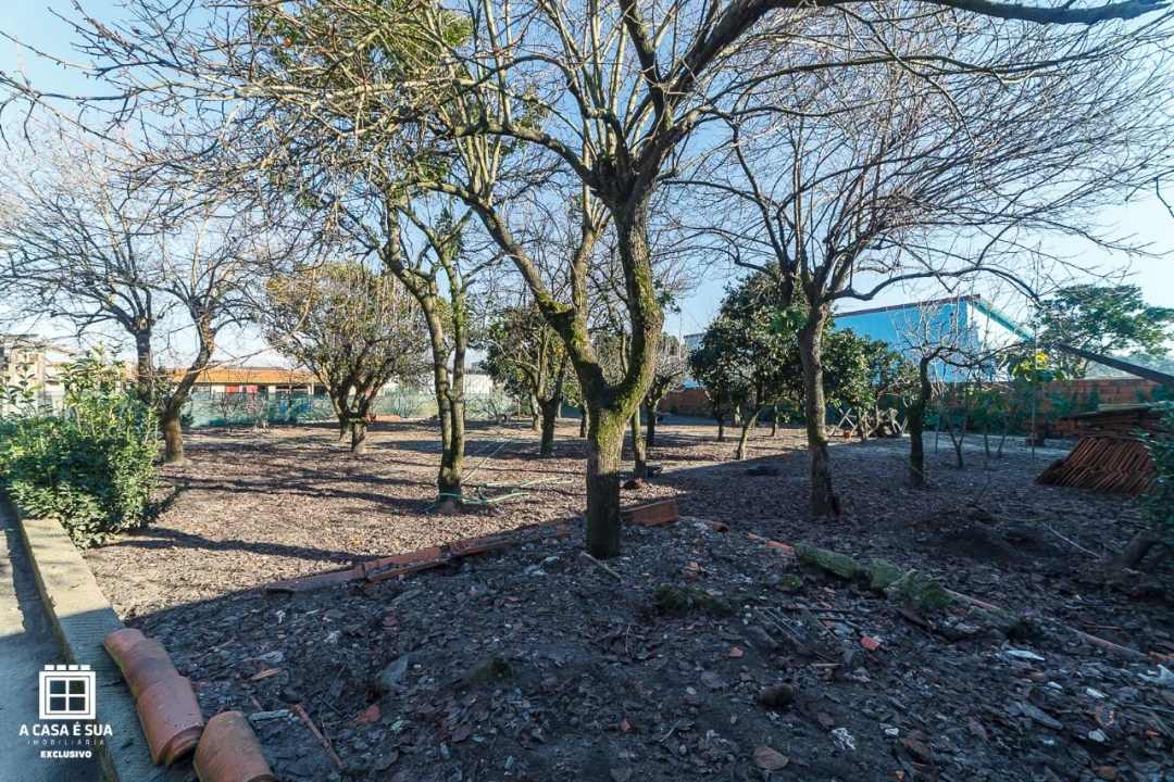 Terreno para Venda em Pardilhó Foto 16