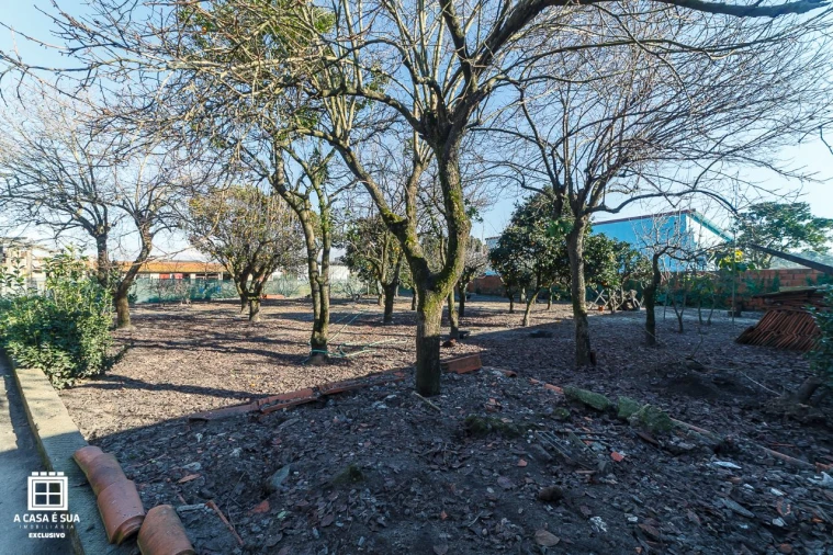 Terreno para Venda em Pardilhó Foto 16