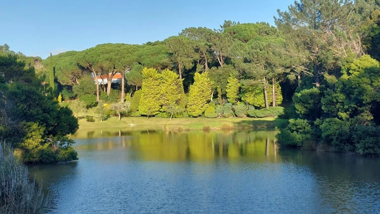 Moradia T6 para Venda em Linhó Foto 14