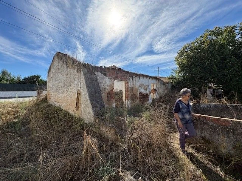 Quinta para Venda em Carregueira Foto 2
