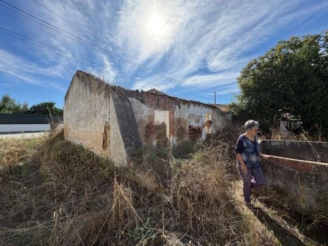 Quinta para Venda em Carregueira Foto 2