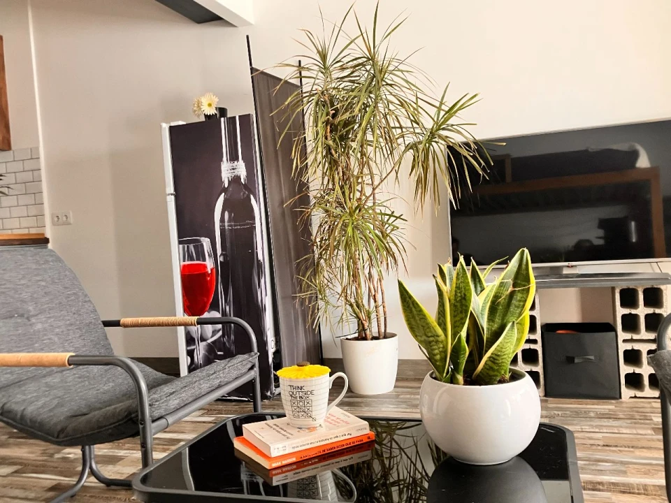 Apartamento para Venda em Sobreda Foto 1