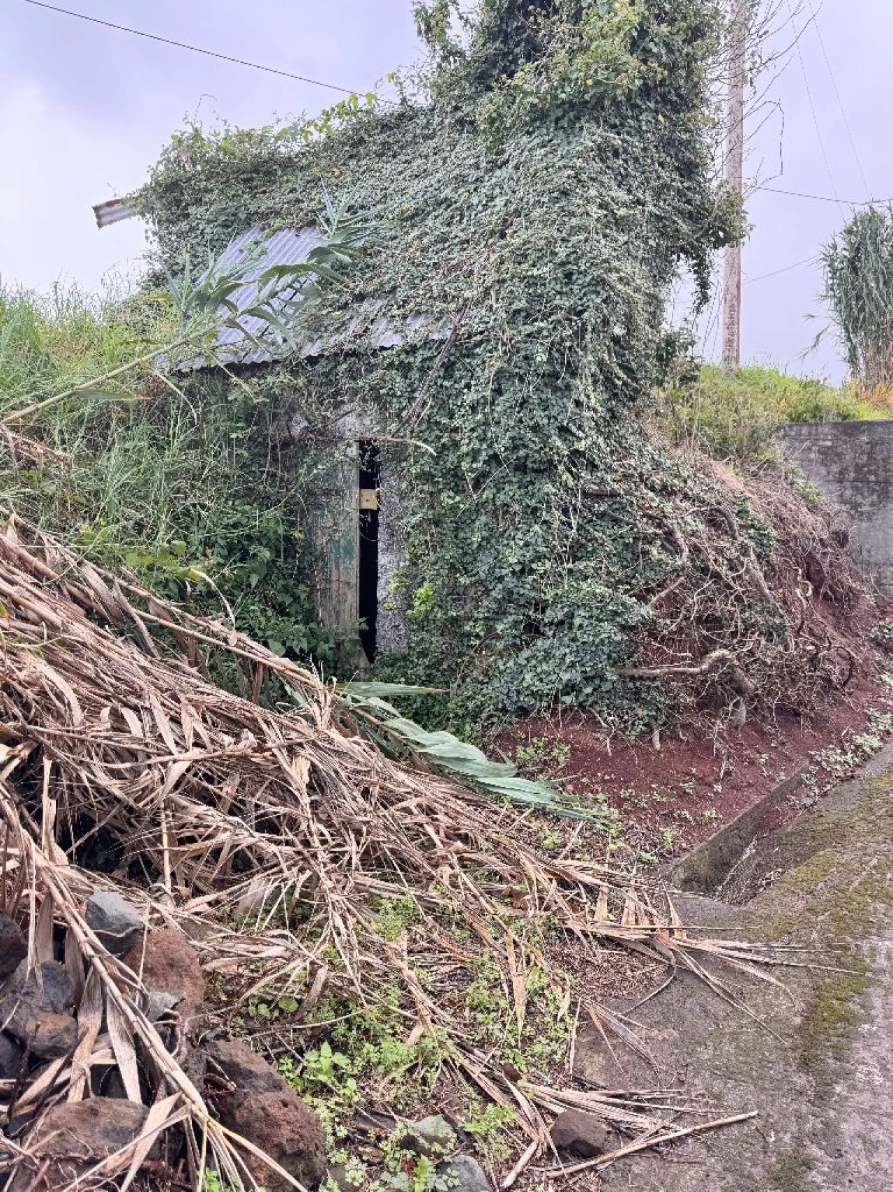 Moradia T2 para Venda em Levada Grande Foto 17