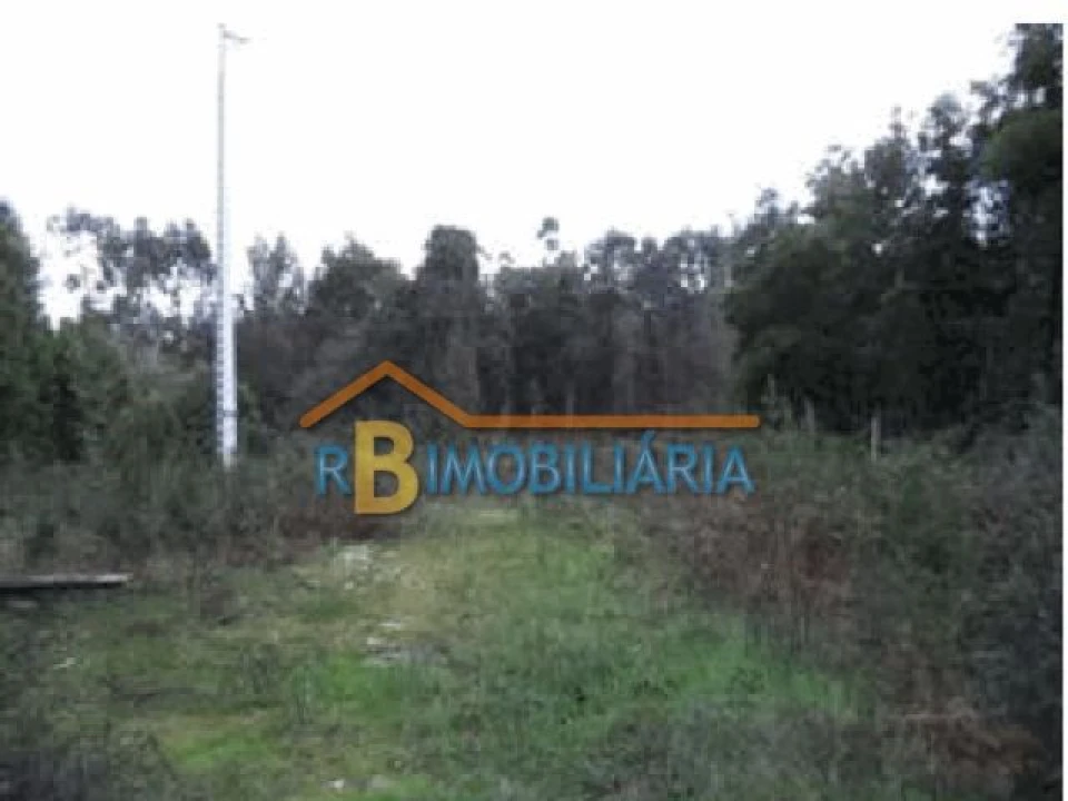 Terreno para Venda em Mozelos Foto 2