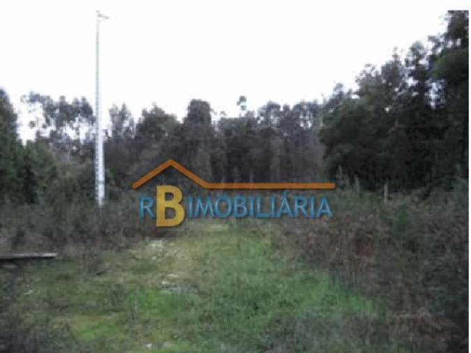 Terreno para Venda em Mozelos Foto 2