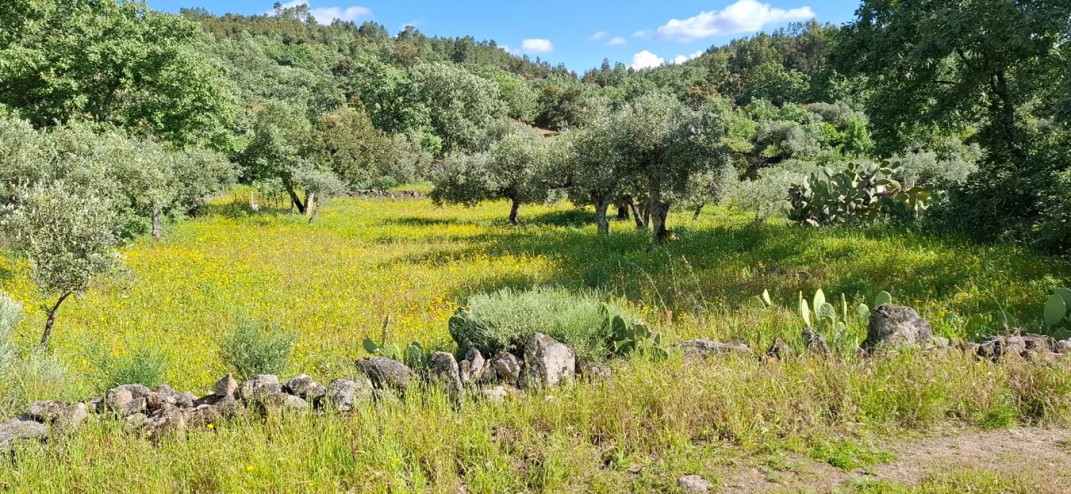 Terreno para Venda em Salvador Foto 3
