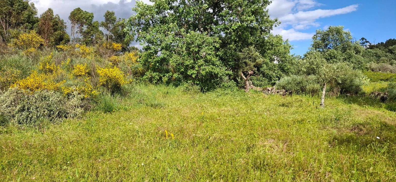 Terreno para Venda em Salvador Foto 5