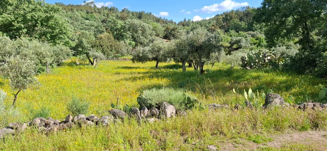 Terreno para Venda em Salvador Foto 3