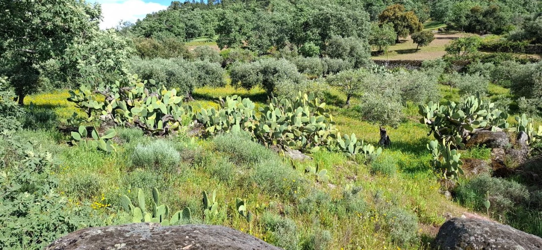 Terreno para Venda em Salvador Foto 4