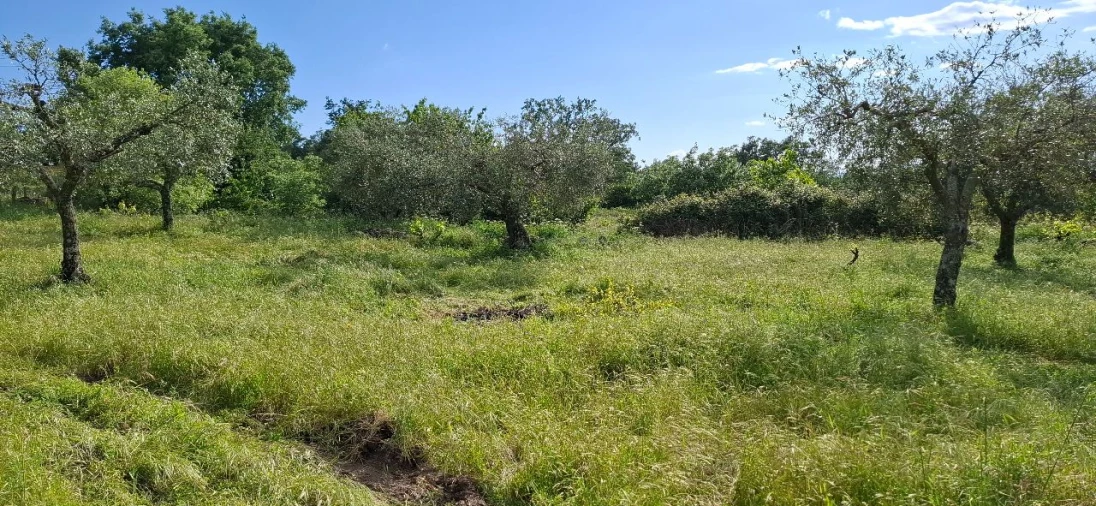 Terreno para Venda em Salvador Foto 6