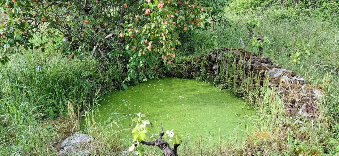 Terreno para Venda em Salvador Foto 8