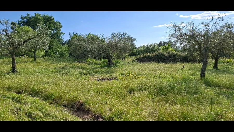 Terreno para Venda em Salvador