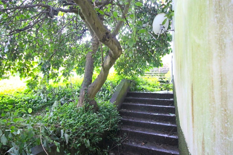 Moradia T1 para Venda em Pinheiro Foto 6