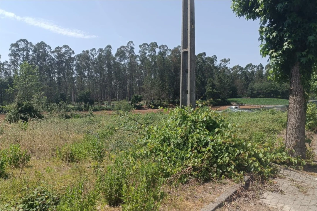 Terreno para Venda em Fradelos Foto 2