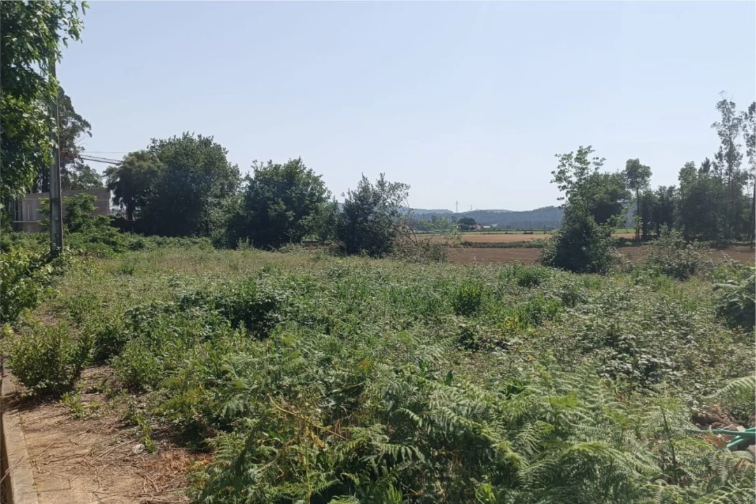 Terreno para Venda em Fradelos Foto 3