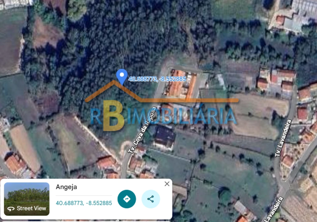 Terreno para Venda em Angeja Foto 2