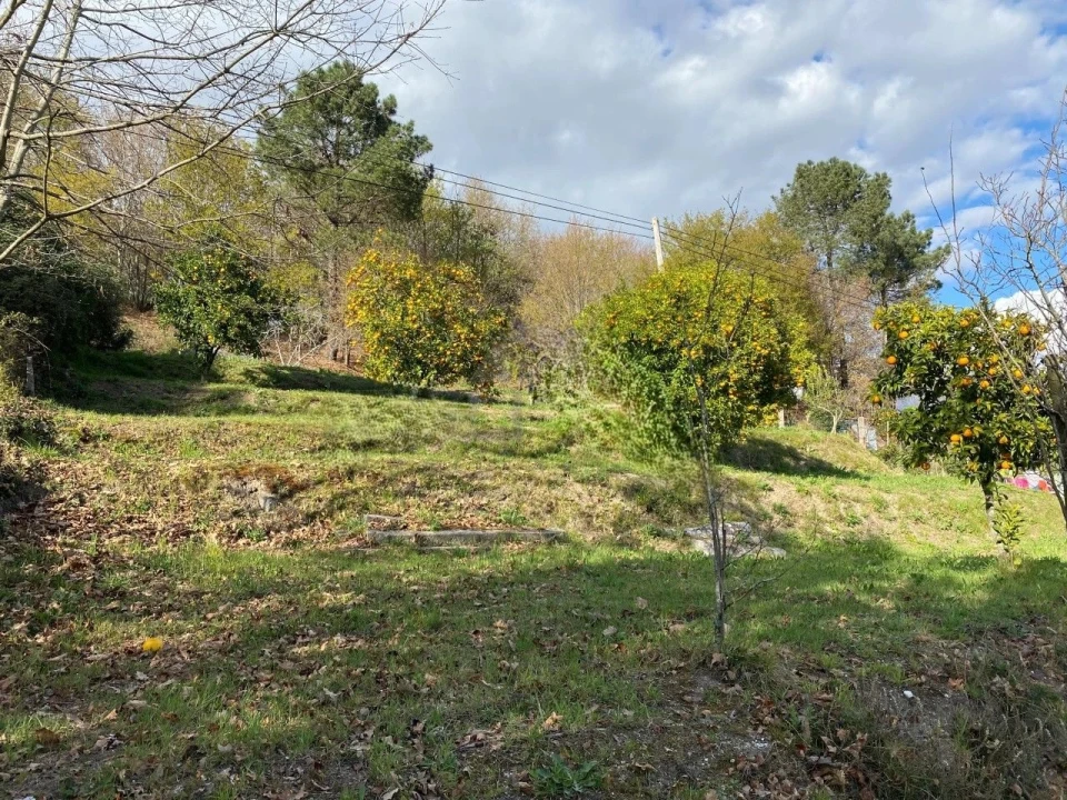 Terreno P/ Prédio para Venda em Arcos de Valdevez Foto 1