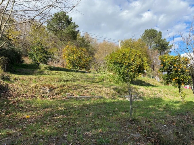 Terreno P/ Prédio para Venda em Arcos de Valdevez Foto 1