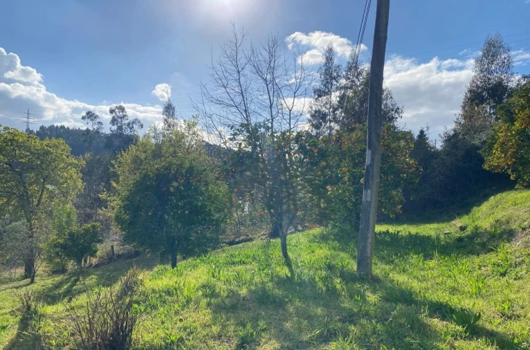 Terreno P/ Prédio para Venda em Arcos de Valdevez Foto 2