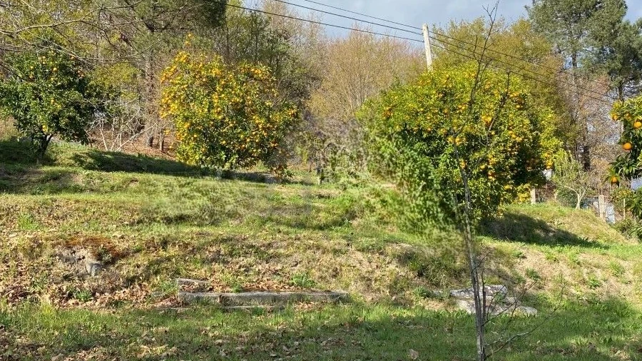Terreno P/ Prédio para Venda em Arcos de Valdevez