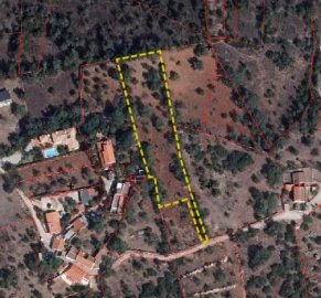 Terreno para Venda em Salir