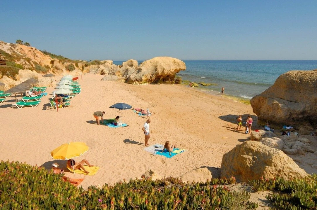 Moradia T4 para Arrendamento férias em Sesmarias Foto 8