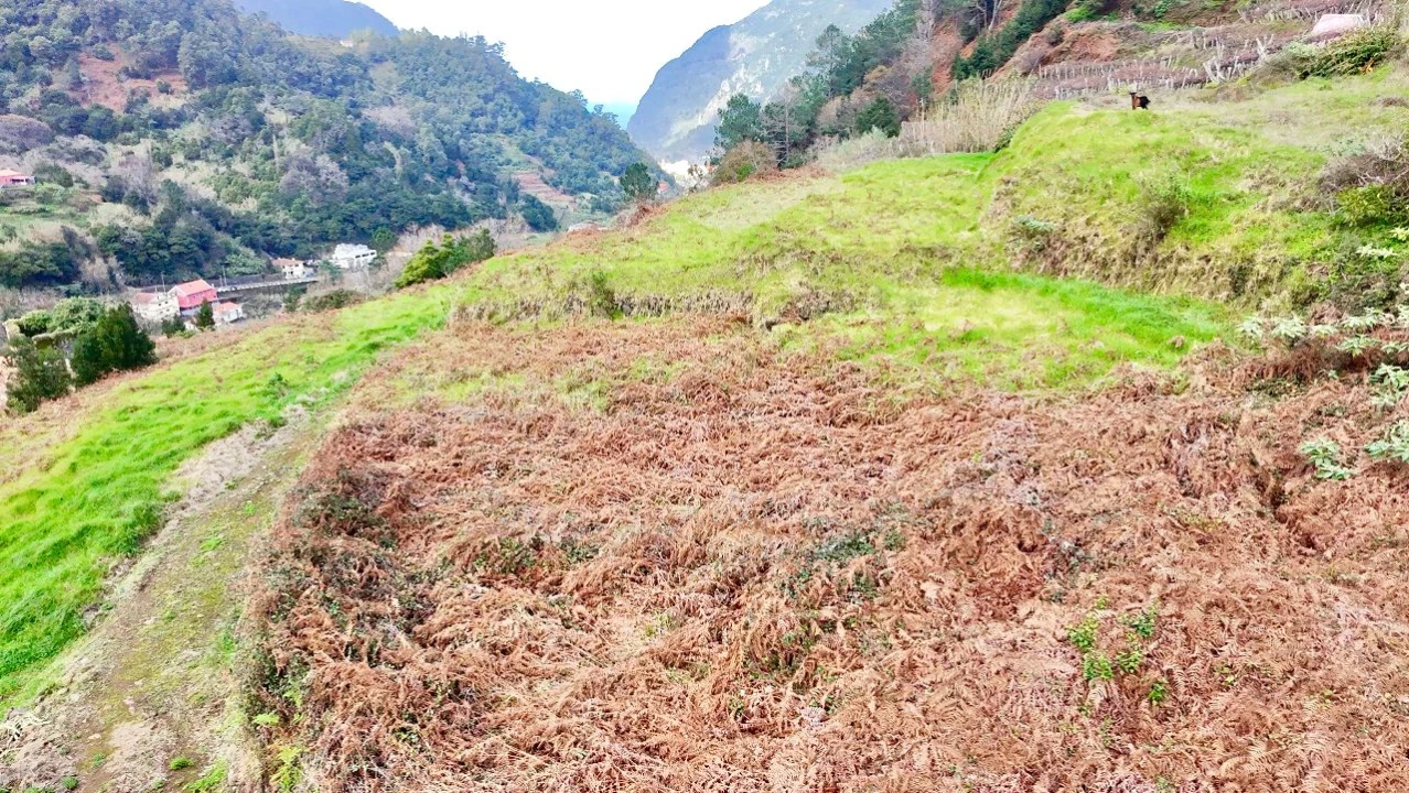 Terreno para Venda em Vargem Foto 3