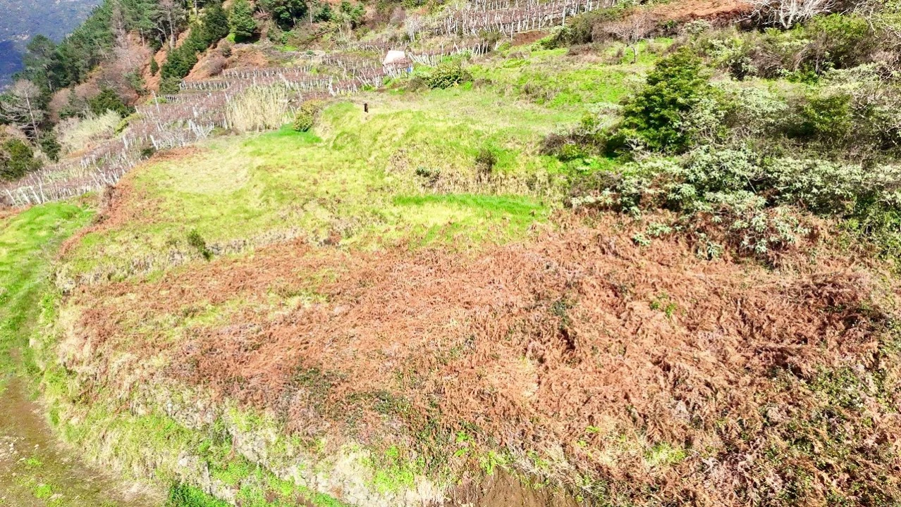 Terreno para Venda em Vargem Foto 6