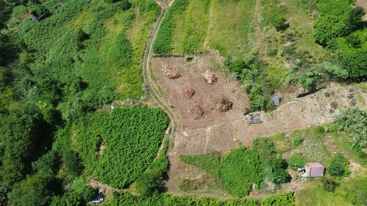Terreno para Venda em Vargem Foto 2