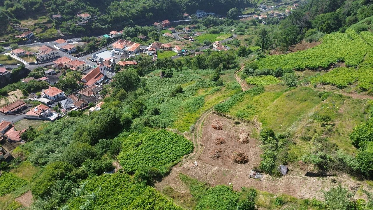Terreno para Venda em Vargem Foto 5