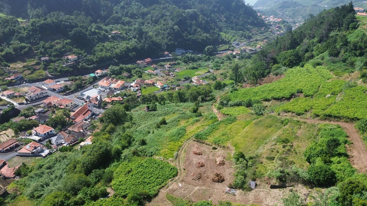 Terreno para Venda em Vargem Foto 4