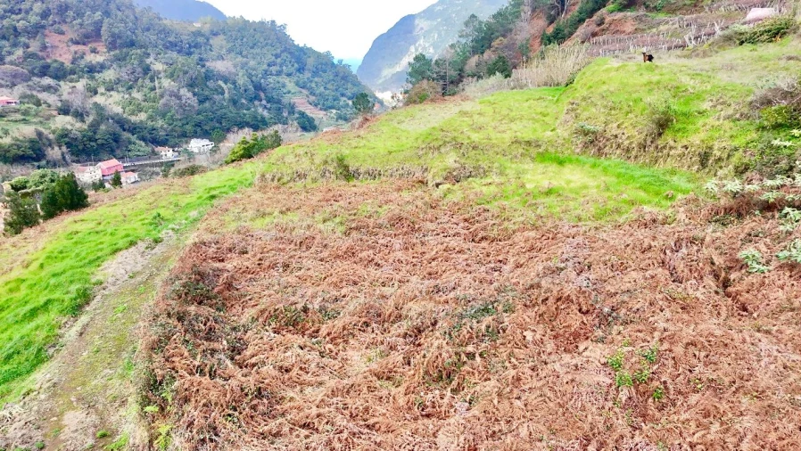 Terreno para Venda em Vargem Foto 3