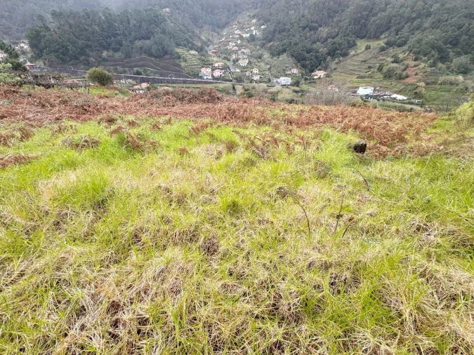 Terreno para Venda em Vargem Foto 4