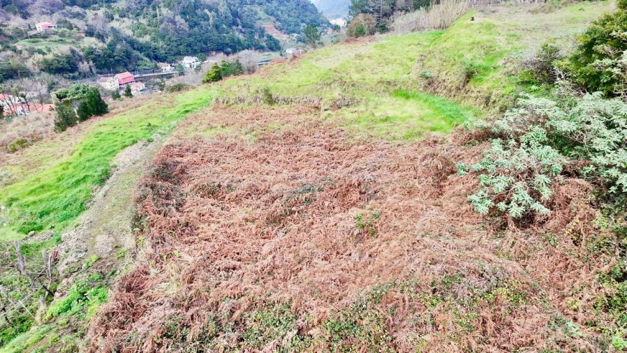 Terreno para Venda em Vargem Foto 5