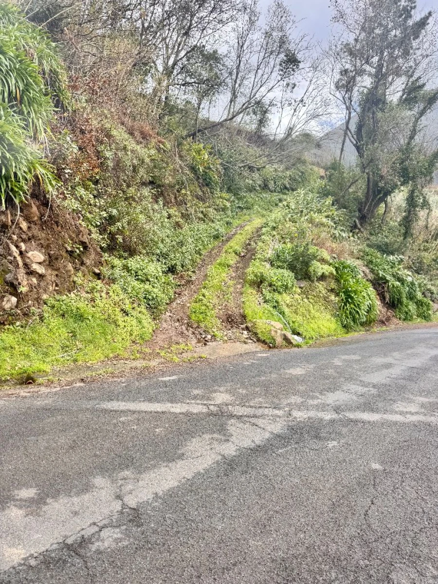 Terreno para Venda em Vargem Foto 7
