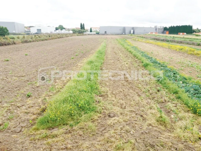 Moradia T4 para Venda em Aveiro Foto 8