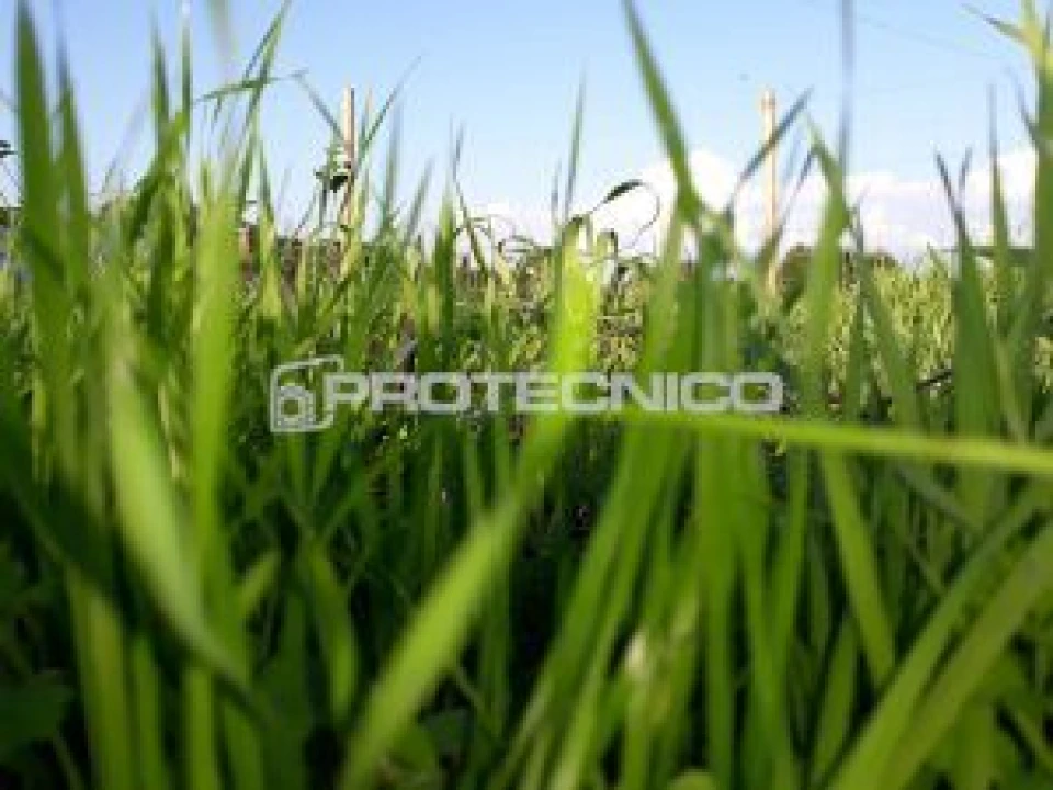 Terreno para Venda em Aveiro Foto 4