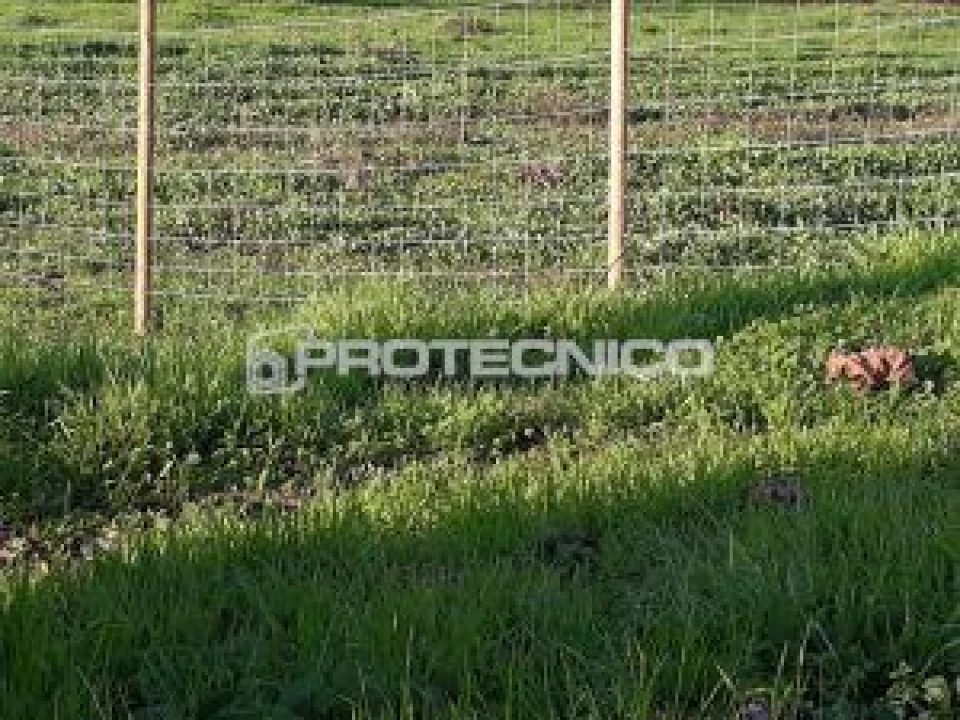 Terreno para Venda em Aveiro Foto 2