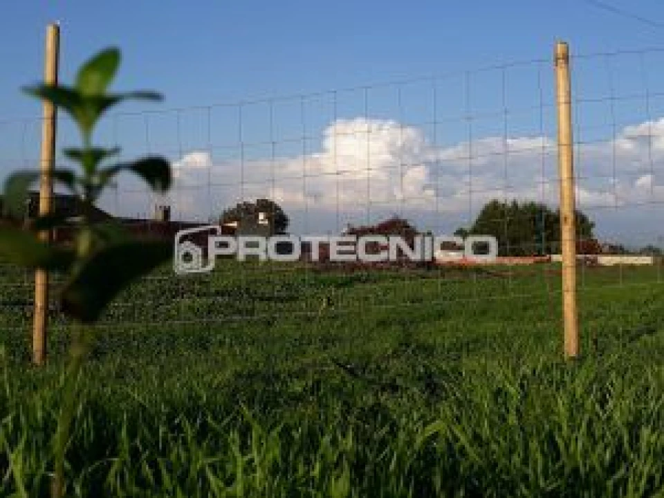 Terreno para Venda em Aveiro Foto 1