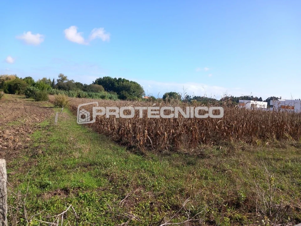 Terreno para Venda em Aveiro Foto 5