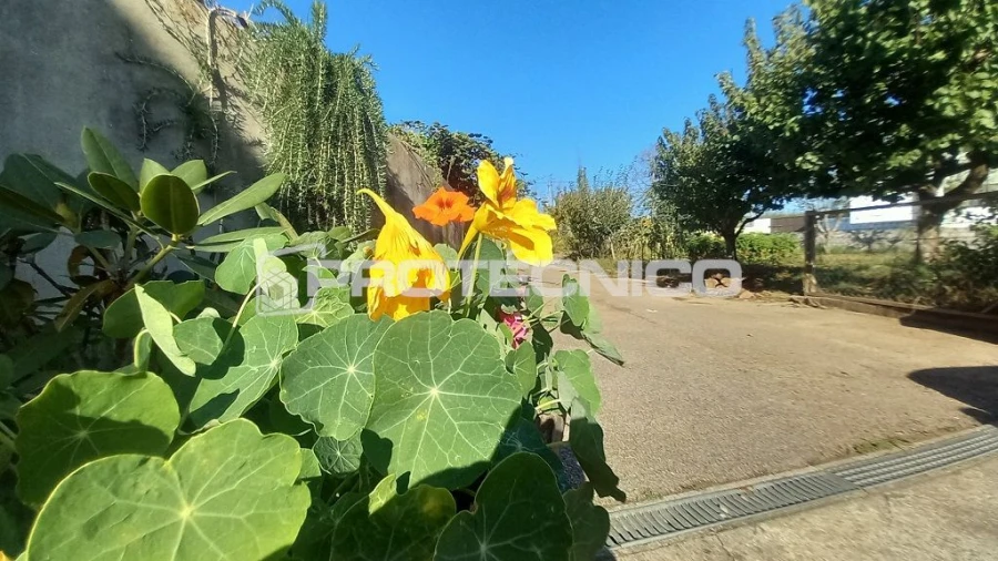 Moradia T4 para Venda em Aveiro Foto 31