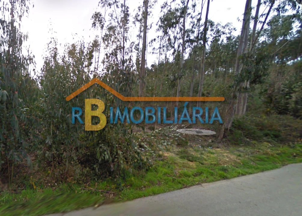 Terreno para Venda em Vilarinho do Bairro Foto 2