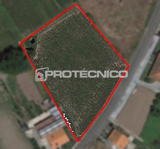 Terreno para Venda em Aveiro Foto 1