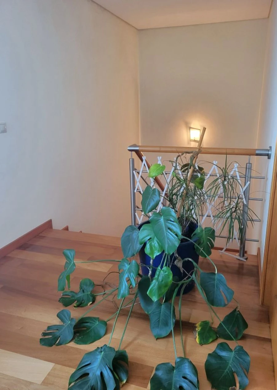 Moradia T4 para Venda em Vila Nova de Gaia Foto 32